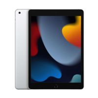 iPad 9th Prata 256gb